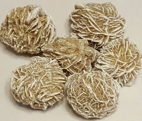 6-10 PIECES 1lb DESERT ROSE, SAND ROSE, SELENITE ROSE GYPSUM 1"-2" each Art Therapy Coloring Book, Selenite Crystals, Frozen Art, Needlepoint Stockings, White Highlights, Knitting Needles Sizes, Selenite Crystal, Vintage Needlepoint, Memory Scrapbook