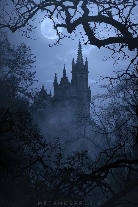 Goth Castle, Goth Architecture, Vampire Castle, Fairytale Aesthetic, Dark Castle, Dark Fairytale, Facial Recognition Technology, Gothic Castle, Castle Aesthetic