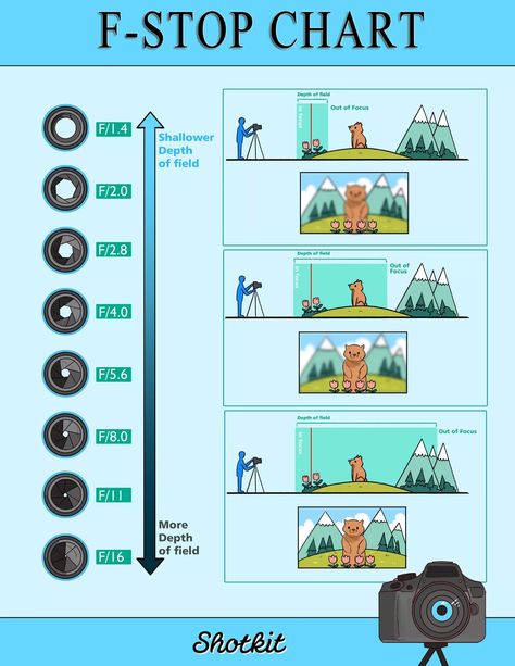 Photography F-Stop Chart: Understanding F-Stops Aperture Depth Of Field, Beginner Photography Camera, F Stop, Canon Eos Rp, Camera Basics, Aperture Photography, Manual Photography, Stuff To Learn, Aperture And Shutter Speed