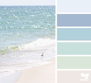 Bedroom Green And Blue, Beach Color Palettes, Seeds Color, Color Boards, Palette Design, Wedding Colour, Interior Room, Coastal Colors, Beach Color