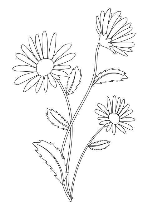 Daisies Drawing, Shawl Dancer, Daisy Flower Embroidery, Redwork Embroidery Patterns, Flower Embroidery Pattern, Daisy Embroidery, Hand Stitches, Hand Embroidery Patterns Free, Sketches Pencil