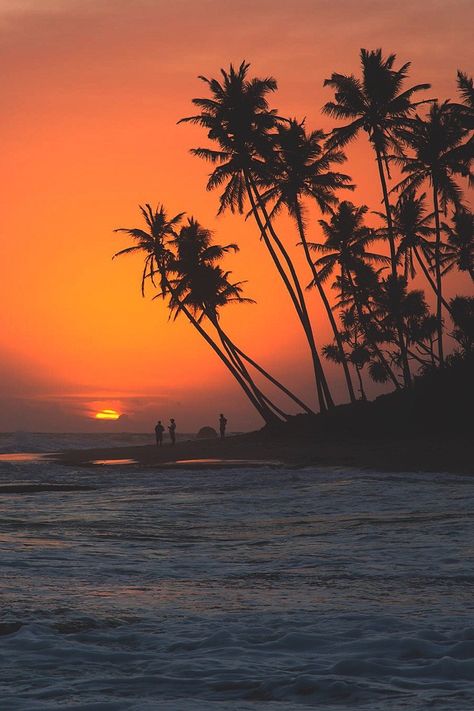 Sunset Lover, Beach Wallpaper, Sunset Photos, Summer Dream, Summer Pictures, Beach Aesthetic, Pretty Places, Island Life, Dream Vacations