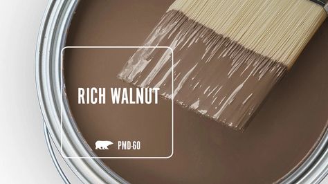 Rich Walnut PMD-60 | Behr Paint Colors Brown Kitchen Paint Colors, Behr Color Pallets, Bear Brown Paint Colors, Soft Brown Paint Colors, Brown Paint Colors Behr, Behr Dark Brown Paint Colors, Brown Behr Paint Colors, Behr Paint Colors Brown, Warm Brown Paint Colors