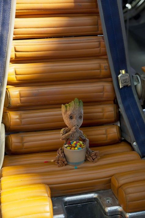 Image Background, Wallpapers Images, Baby Groot, Wallpapers Backgrounds, Free Hd Wallpapers, Home Screen, Hd Images, Hd Wallpapers, Phone Wallpapers