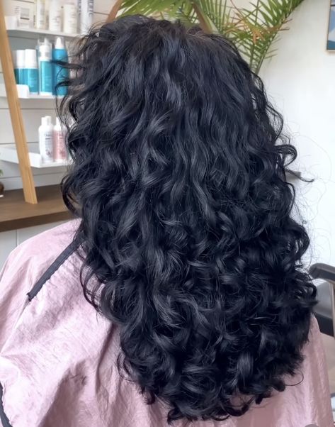 Permed Black Hair, 2c Black Hair, Black 2c Hair, Natural Wavy Black Hair, Jet Black Hair Curly, Black Wavy Curly Hair, Long 3a Hair, Black Wavy Hairstyles, Wavy Hair Black