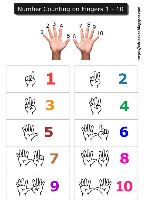 Numbers To 10 Activities, Numbers With Fingers, Counting With Fingers, Learn Numbers 1-10, 1to10 Number, 1 10 Number Activities, 1 To 10 Numbers Activities, Counting Hands, Counting 1 To 10