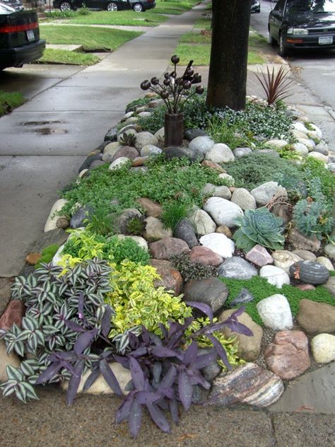 Creative planting strip - Areas between a sidewalk and street can be a challenge, but it just takes a little creative imagination to create a great looking area. Low Water Landscaping, Backyard Ideas For Small Yards, Small Front Yard Landscaping, Rock Garden Landscaping, Have Inspiration, Succulents Garden, Lawn And Garden, Front Garden, Rock Garden