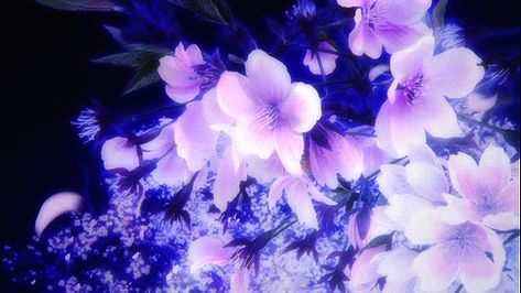 Anime Purple, Gif Background, Anime City, Blue Banner, Flowers Gif, Banner Gif, Floating Flowers, Flowers Petals, Header Banner