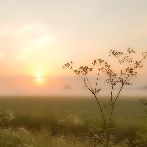 Foggy Scenery, In Memory Of Mum, Sunset Meadow, Sulamith Wulfing, Dusk Photography, Dust Storm, Silhouette Painting, Countryside Landscape, Watercolour Inspiration