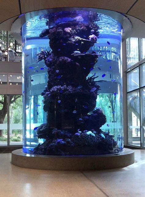 Big Fish Aquarium Ideas, Big Home Aquarium, Home Aquarium Aesthetic, Aquarium For Home, Wall Aquarium Design, Jellyfish Tank Aquarium, Big Fish Tank, Aquarium House, Aqua Planet