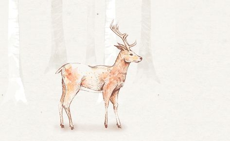 deer-animation.gif (600×368) Deer Animation, Deer Gif, Stag Deer, Animation Gif, Photography Website, Animated Gif, Moose Art, Illustration Design, Deer