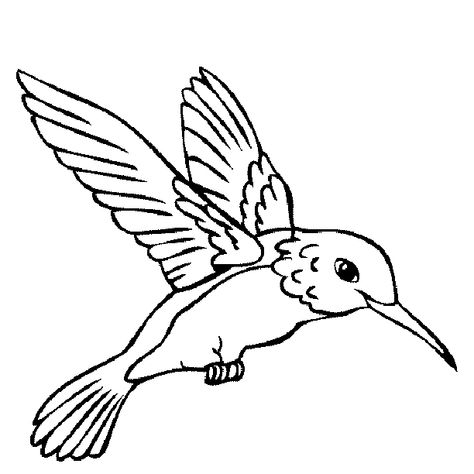 Free Printable Hummingbird Coloring Pages For Kids Hummingbird Colors, Hummingbird Drawing, Bird Outline, Bird Stencil, Bird Coloring Pages, Online Coloring Pages, Humming Bird, Outline Drawings, Bird Pictures