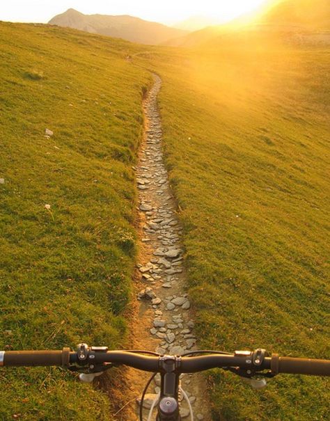 Follow the path. I Want To Ride My Bicycle, Bike Path, Mountain Bike Trails, Dirt Bikes, Bike Trails, Bike Ride, Mountain Bike, Happy Places, The Great Outdoors