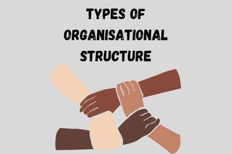 modern principle and types of organisation structure design with example ppt pdf. advantages & disadvantage formal & informal organisational structure Organizational Structure Design, Organisational Structure, Organisation Chart, Organizational Structure, Job Satisfaction, Business Performance, Human Relationship, Human Brain, Structure Design