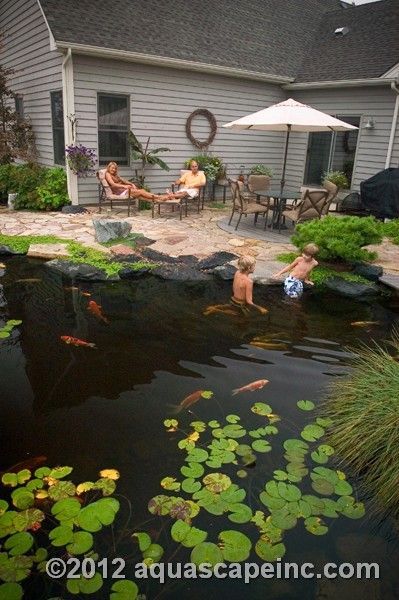 Swimming Pool Pond, Goldfish Pond, Natural Swimming Ponds, Backyard Pond, Outdoor Ponds, Pond Waterfall, Pond Water Features, Swimming Pond, Natural Pond