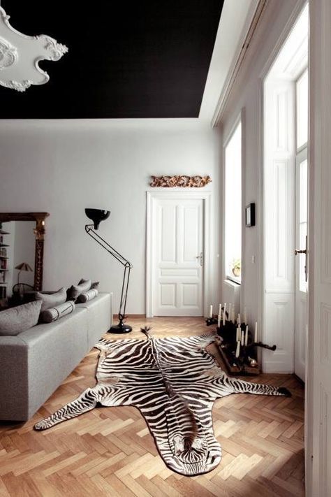 Wilds things Zebra Rugs, Modern Interior Decor, Dream Place, Black Ceiling, Design Del Prodotto, Contemporary Home Decor, Style At Home, Contemporary Decor, Home Fashion