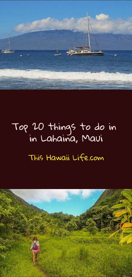 Top 20 things to do in Lahaina Maui - This Hawaii Life - Maui attractions, popular adventure and outdoor experiences, historic sites. Visit all of the best Maui attractions in Lahaina and surrounding areas with a short excursion l Maui travel l  Maui attractions l What to see in Maui l visit Lahaina l  What to do in Lahaina Maui With Kids, Maui Resorts, Lahaina Maui, Usa Destinations, Asian Travel, West Maui, Fun City, Maui Travel, Visit Usa