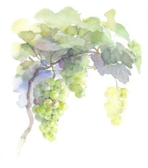 Grape Painting, Art Tutorials Watercolor, Watercolor Fruit, Fruit Painting, Fruit Art, Botanical Art, Botanical Prints, Watercolor Illustration, Painting Inspiration