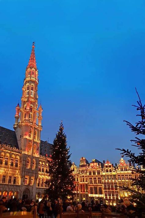 Brussels Christmas, Brussels Travel, Travel Belgium, Belgium Brussels, Christmas City, Visit Belgium, Christmas Destinations, Christmas In Europe, Grand Place