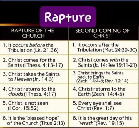 Rapture Quotes, Rapture Ready, Revelation Bible Study, Persecuted Church, Revelation Bible, Bible Study Topics, The Rapture, Bible Verses For Women, Bible Study Help