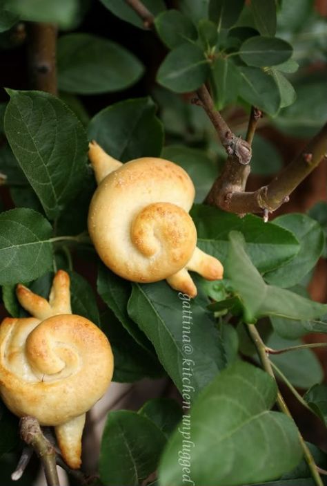 baby shower snails :) crescent rolls!! Festive Bread, Spooky Dinner, Bread Winners, Savory Recipe, Fairy Tea Parties, Braided Bread, Bread Shaping, Bread Art, Best Butter