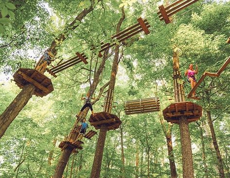 Go Ape Zipline Adventure, Go Ape, Ropes Course, Pride Colors, Lake Park, Nature Preserve, Adventure Park, St Louis Missouri, New Adventures