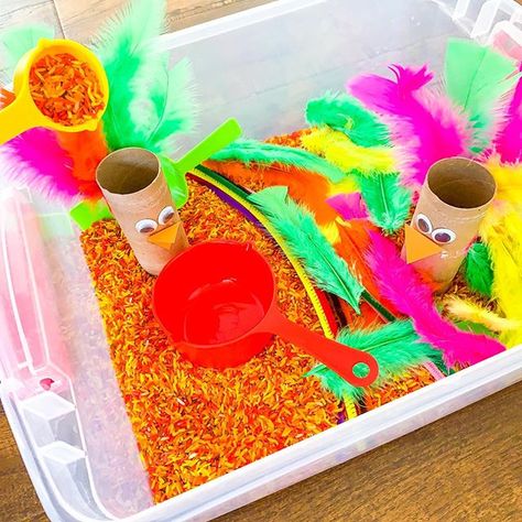 No photo description available.    #Regram via @B4kPWY4Bblq Turkey Sensory Bin, Turkey Shapes, Alphabet Letter Matching, Sensory Bin Ideas, Fall Sensory Bin, Fall Sensory, Thanksgiving Activities Preschool, Ideas For Preschoolers, Pattern Activities