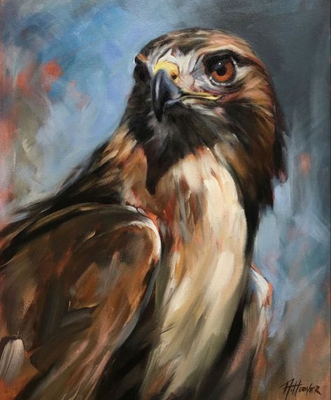 Aimée Rolin Hoover Contemporary Wildlife Art, Animal Paintings Acrylic, Eagle Drawing, Pencil Portrait Drawing, Extreme Close Up, Red Tailed Hawk, Realism Painting, Wildlife Artists, Travel Humor