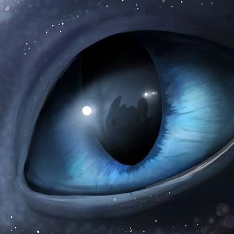 Cloudy Eyes, Light Fury, Night Fury, Toothless, Httyd, Blue Eyes, Deviantart, Stars, On Instagram