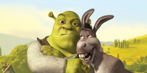 Donkey Meme, Donkey From Shrek, Donkey And Dragon, Shrek Movie, Sermon Illustrations, Princess Fiona, Inspirational Movies, The Last Wish, A Donkey