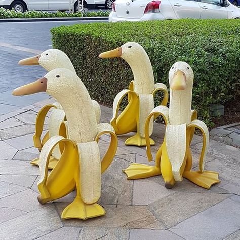 Banana Duck, Love Your Garden, Last Love, House Porch, Duck Pictures, Duck Feet, Duck Head, Banana Art, Duck Art