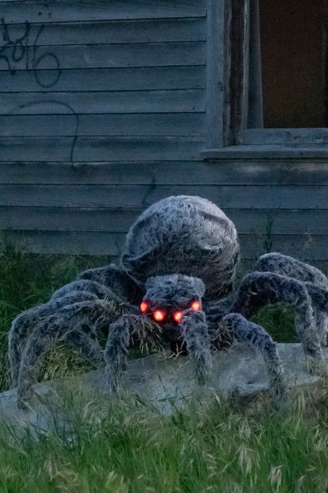 DIY Giant Halloween Spider Decoration to Scare Your Neighbours Halloween Decorations Outdoor Porch, Creative Halloween Decorations, Strašidelný Halloween, Dekorasi Halloween, Halloween Diy Outdoor, Halloween Decor Diy, Halloween Spider Decorations, Spider Decorations, Hallowen Ideas