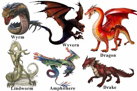 Dragon Like Creatures, Drake Mythical Creature, Fantasy Wyvern Art, Wyvern Art Reference, Types Of Dragons Mythical Creatures, Wyrm Dragon, Wyvern Dragon Art, Lindworm Dragon, Drake Creature