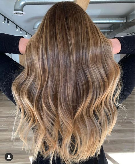 Hair Color 2024, Brown Hair Color With Blonde Highlights, Balyage Long Hair, Babylights Hair, Brown Hair Inspiration, Brunette Hair With Highlights, Low Maintenance Hair, Honey Hair, Blonde Hair With Highlights