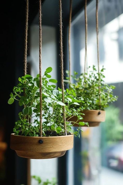 "Freshen up your kitchen with a DIY hanging herb garden! Perfect for adding greenery to small spaces. 🌿🌱 #DIYHomeDecor #HerbGarden #KitchenDecor" Diy Hanging Herb Garden, Bedroom Decor Fall, Academia Home Decor, Academia Home, Moody Home Decor, Welcome Home Decorations, Cottagecore Home Decor, Modern Fall Decor, Hanging Herb Garden