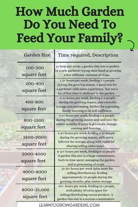 How Much Garden To Feed A Family, Dream Vegetable Garden Design, Garden To Feed Family Of 4, Raised Garden Beds Vs In Ground, Backyard Vegetable Garden Design Layout Raised Beds, Garden Plots Layout Raised Beds, Vegetable Garden Layout Raised Bed Plans, How Much To Plant Per Person, Large Raised Bed Garden Layout