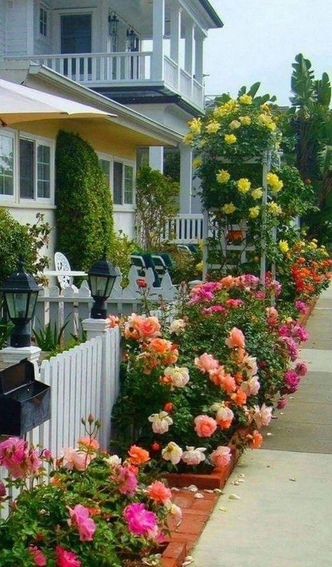 Cottage Garden Landscaping, Front Yard Cottage Garden, Rose Garden Ideas, Garden Landscaping Ideas, Expensive Flowers, Mulch Landscaping, Rose Garden Design, Flower Bed Designs, Front Yard Design