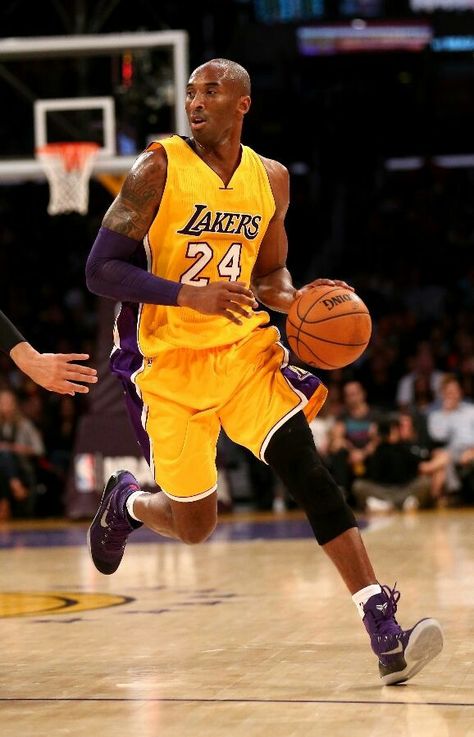 Coldest Photos, All Nba Players, Kobe Bryan, Kobe Bryant Lakers, Kobe Bryant Poster, Kobe Bryant 8, Kobe Mamba, King Lebron, Kobe Bryant Pictures