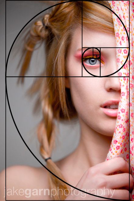 The tremendously lazy rule of thirds - makes a lot of sense to me. Fibonacci Golden Ratio, Photography Rules, Wow Photo, Fibonacci Spiral, Photo Techniques, Photo Composition, Rule Of Thirds, Foto Tips, Photography Basics