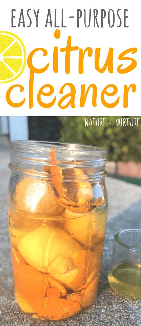 Orange Peel Vinegar, Orange Cleaner, Organic Cleaners, All Natural Cleaning Products, Citrus Cleaner, Vinegar Cleaner, Homemade Cleaners, Lime Peel, Cleaner Recipes