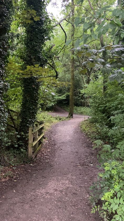 #woods #woodland #aesthetic #trail #walk #forest #plants Woodland Walk Aesthetic, Woodland Aesthetic, Walk Aesthetic, Countryside Living, Woodland Walk, Forest Plants, Walking Trails, Walking, Forest