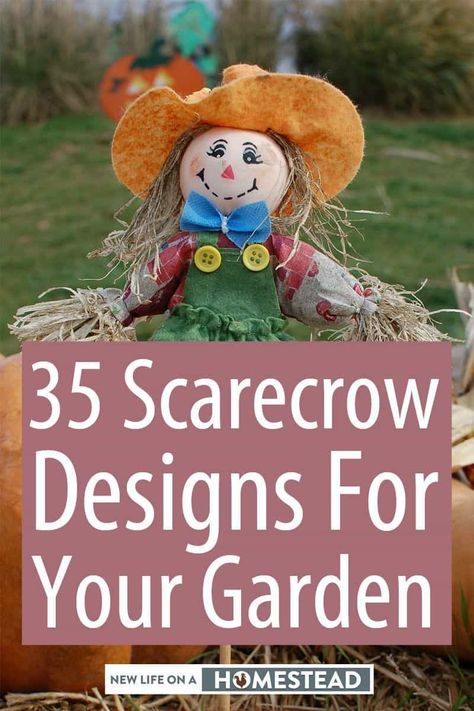 Scarecrows aren't just useful for keeping birds away. They are fun DIY activities that involve the whole family! #DIY #crafts #homesteading Painting Scarecrow Faces, Diy Sitting Scarecrow For Porch, Scarecrows For Garden Ideas, Homemade Scarecrows Diy, Diy Scarecrow For Garden, How To Make A Scarecrow, Kindergarten Scarecrow, Homemade Scarecrows, Family Diy Crafts