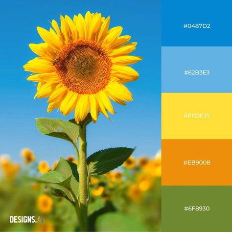 Green And Yellow Colour Scheme, Sunflower Colour Palette, Green Blue Yellow Color Palette, Color Palette Sunflower, Blue Yellow Green Color Palette, Blue Green Yellow Color Palette, Sunflower Color Palette, Yellow Color Scheme, Orange Color Combinations