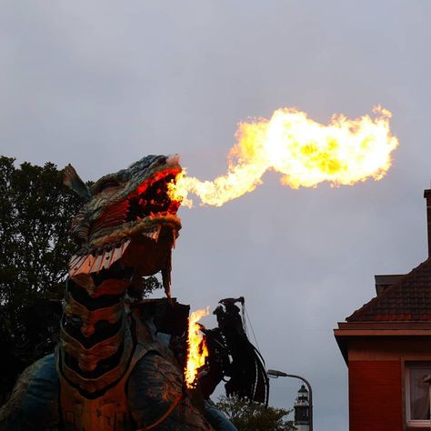 The Citizens Of Calais Witnessed A 25-Meter-Long Fire-Breathing Mechanical Dragon Manned By 17 People | Bored Panda Mechanical Spider, Mechanical Dragon, Calais France, Dragon Names, Elder Scrolls Skyrim, Fire Breathing Dragon, Komodo Dragon, French Street, Discover Music