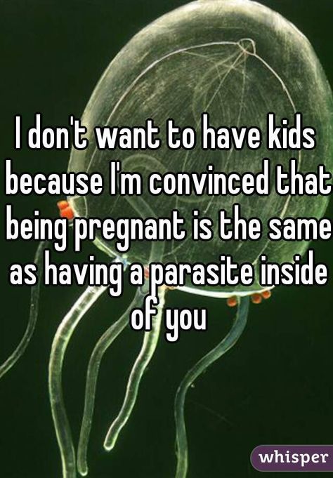 I Don’t Want Kids, Childfree Humor, I Dont Want Kids, Virgo Memes, Not Having Kids, Mom Body, Child Free, Being Pregnant, Meet New People