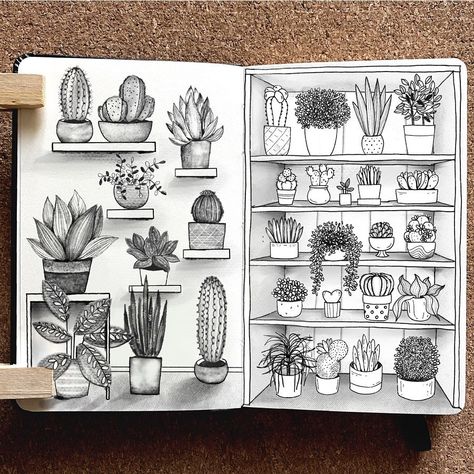 Alice (@alicelovesdrawing) • Instagram photos and videos Shelf Sketch, Plants On A Shelf, Brushes On Procreate, Garden Sketches, Beautiful Sketches, Weekly Cleaning, Plant Shelf, Art Doodles, My Sketchbook