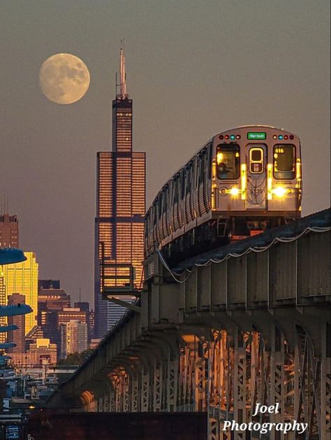 Oak Park Illinois, Chicago Transit Authority, Chicago Bars, Chicago Aesthetic, Chicago Pictures, City Silhouette, Chicago Photos, Chicago Travel, My Kind Of Town