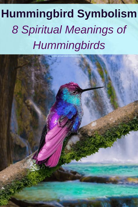 Hummingbird Meaning Spiritual, Hummingbird Spiritual Meaning, Watercolor Hummingbird Tattoo, Hummingbird Quotes, Hummingbird Meaning, Hummingbird Tattoo Watercolor, Colorful Hummingbird Tattoo, Hummingbird Tattoo Meaning, Hummingbird Symbolism