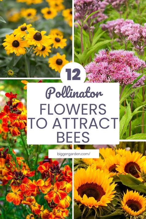 Do bees bypass your garden in favor of others? Click to unveil 12 pollinator-friendly flowers guaranteed to attract honey bees and keep your garden buzzing with activity – plus, follow us for more expert gardening advice. Best Pollinator Flowers, Butterfly And Bee Garden, Pollinators Garden, Pollinator Flowers, Bee Garden Design, Pollinator Habitat, Red Flowers Garden, Bee Attracting Flowers, Bee Yard