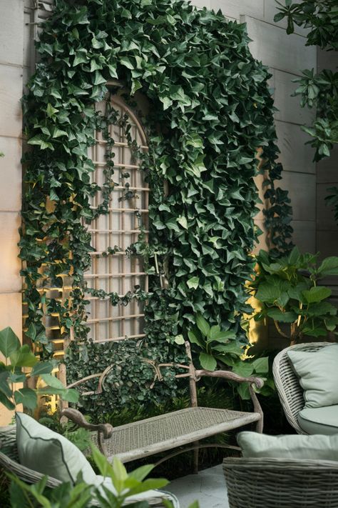 Lush garden scene with ivy-covered trellis, rustic bench, and comfortable wicker chairs. Ivy Walls Outdoor, Ivy Plant Outdoor, Kitchen Flooring Trends, Living Wall Indoor, Kitchen Tile Inspiration, Ensuite Bathroom Designs, Industrial Chic Kitchen, Rustic Industrial Kitchen, Modern Bedroom Colors